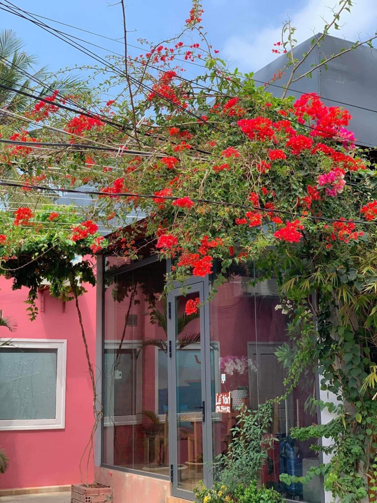 Chill House By The Beach Phú Quốc Exterior photo